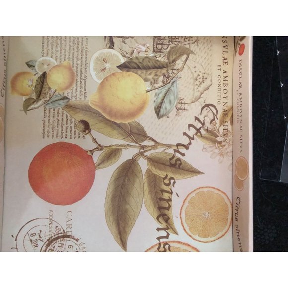 Home Essentials and Beyond Fruit Decor Water Glass Coasters - Picture 4 of 7